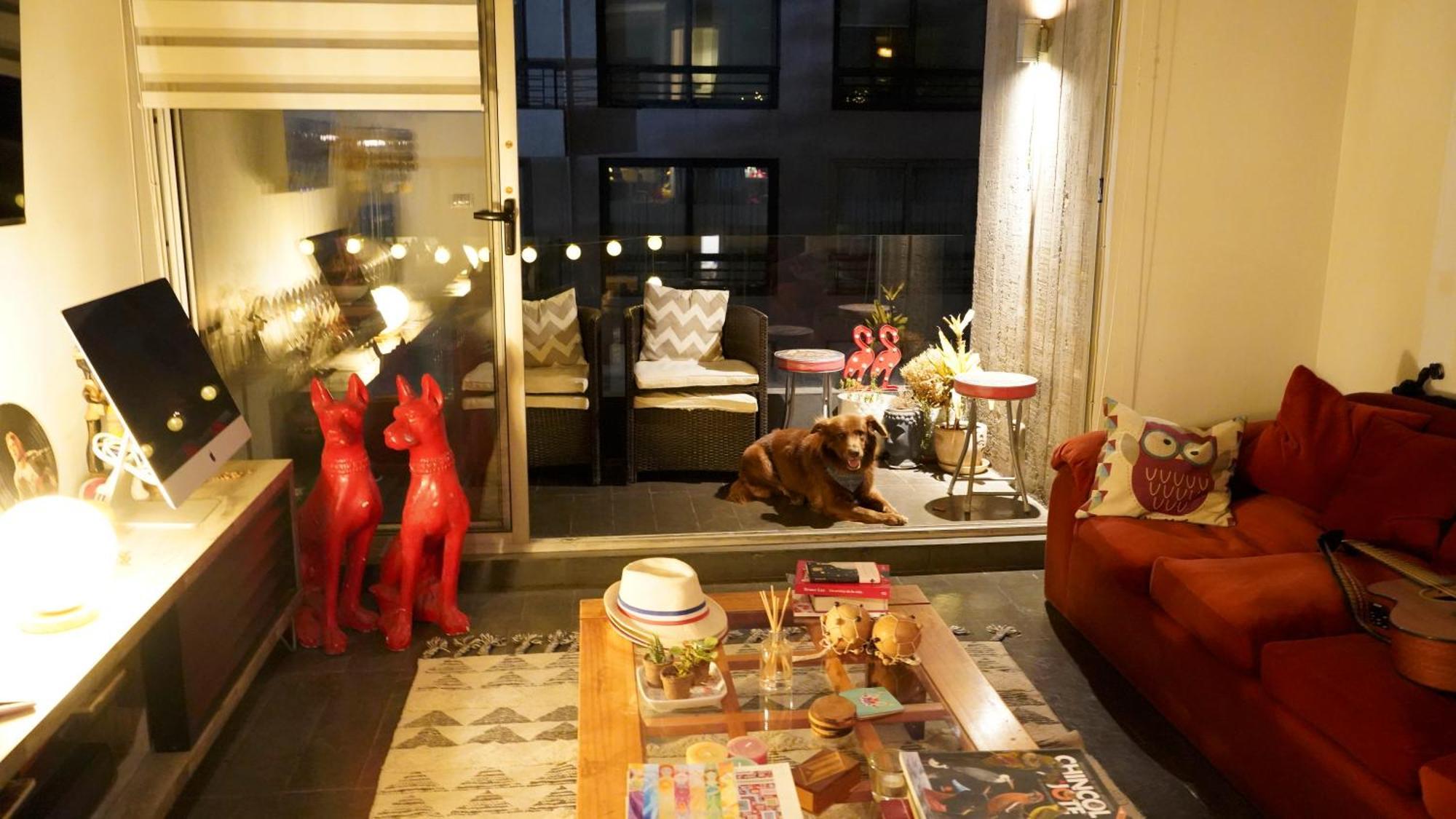 Increible Loft En El Mejor Barrio De Providencia Apartamento